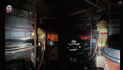 Samandağda odunluk yangını