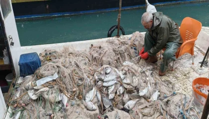 Silifkede balık çiftliğinin ağı yırtıldı, kıyılar balıkla doldu