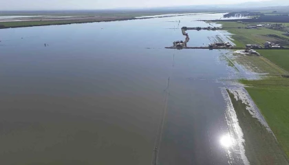 Son 65 yılın en kurak yılını geride bırakan Hatayda etkili olan yağışla tarım arazileri su altında kaldı