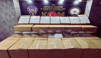 Suç örgütü, zimmet, tarihi eser ve kaçak ürün operasyonlarında 12 tutuklama