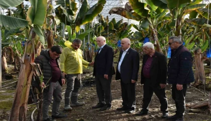 TZOB Genel Başkanı Bayraktar: Doğal afetler tarım sektörünü her geçen yıl daha fazla etkilemektedir
