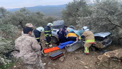 Zeytinliğe uçan otomobilin sürücüsü yaralandı