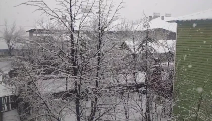 Adana Tufanbeylide kar yağışı etkili oldu