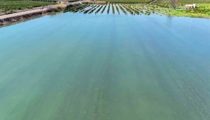 Adanada sel suları tarım arazilerini sular altında bıraktı