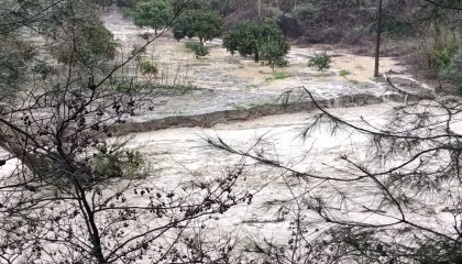 Adananın kuzey ilçelerinde sağanak taşkınlara neden oldu