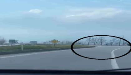 Akrobatik hareketler yapan motosiklet sürücüsü tarlaya uçtu