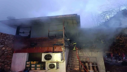 Alanyada piknik işletmesinde yangın korkuttu