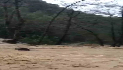 Alanyada sağanak sonrası su taşkını köprüde zarara neden oldu