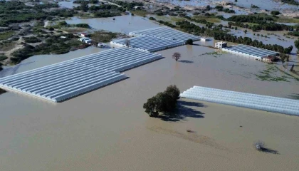 Antalya Kaşta seralar sular altında kaldı