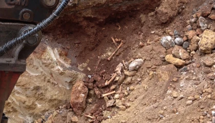 Antalyada belediye kazısında kemik parçaları bulundu