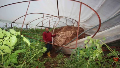 Antalyada heyelan evlerin duvarlarını çatlattı, seralara dev kayalar düştü