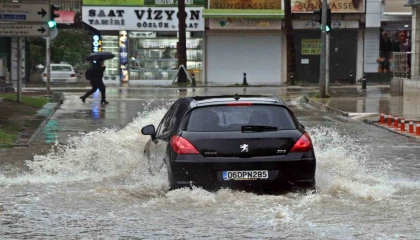Antalyada Sarı Kod uyarısı: Rögarlar taştı, telef olmuş dana kıyıya vurdu