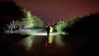 Antalyada sel sularının bastığı barınakta mahsur kalan 27 köpek botlarla kurtarıldı