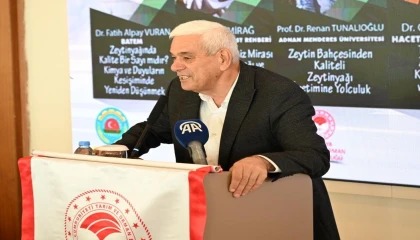 Antalyada zeytinlik alan 20 yılda 2 katına çıktı