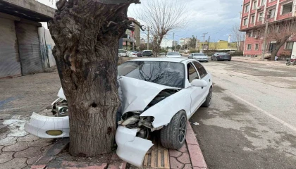 Ehliyetsiz sürücünün kontrolünü kaybettiği otomobil ağaca çarptı... O anlar kamerada