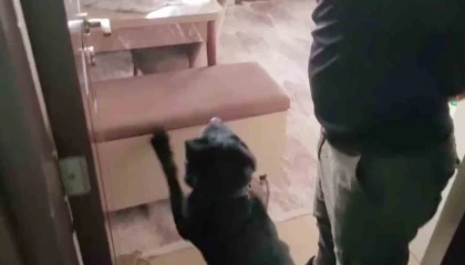 Evindeki sandıktan 814 gram eroin çıktı, Satmıyorum, kullanıcıyım dedi