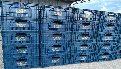 Fanatik üreticinin ‘Kante sevgisi: Domatesleri topladığı kasaya bile onun adını yazdırdı