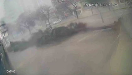 Fırtına dev ağaçları kökünden söktü, o anlar kameraya yansıdı