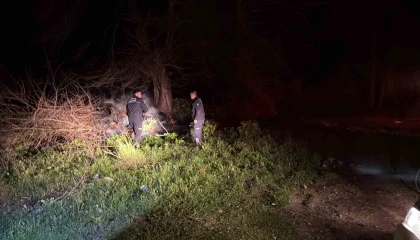 Gazipaşa Selinus Kalesindeki çalılık yangını korkuttu