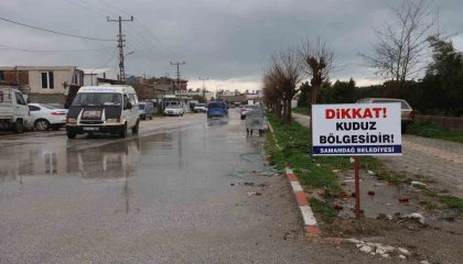 Hatayda 4 mahalleye kuduz karantinası