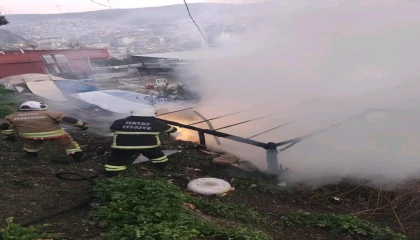 Hatayda odunluk yangını evlere sıçramadan söndürüldü
