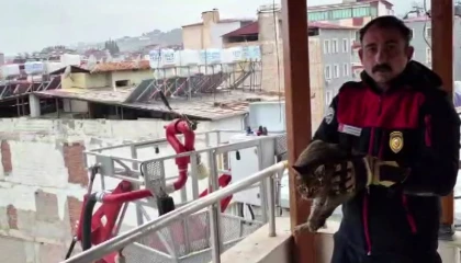 Kedi kurtarma operasyonuyla gönülleri fetheden itfaiye ekibine alkışlı teşekkür