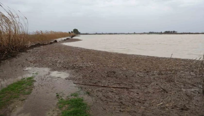 Kozanda sağanak taşkınlara yol açtı