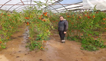 Kumlucada hortum seraları parçaladı