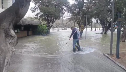 Manavgat Irmağında su debisi yükseldi, işletmeleri su bastı