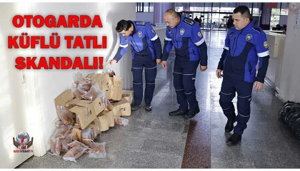 Menşei belirsiz 100 kilogramlık kabak tatlısı imha edildi