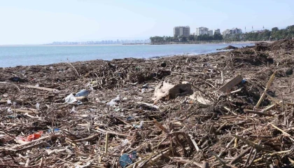 Mersin sahillerinde selin denize taşıdığı balçıklar temizleniyor