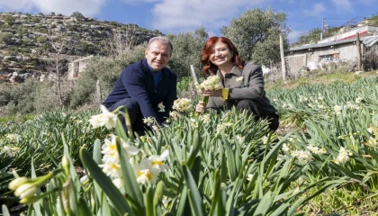 Mersinde 4. Nergis Şenliği binlerce vatandaşı buluşturdu