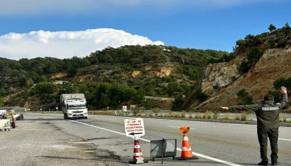 Mersinde orman suçlarına eş zamanlı denetim