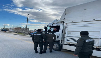 Mutta orman suçlarına yönelik önleme araması yapıldı