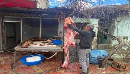 Osmaniyede 2 metrelik dev yayın balığı vatandaşın ilgi odağı oldu