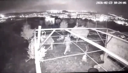 Osmaniyede hobi bahçesine giren hırsızlar 25 güvercini çaldı