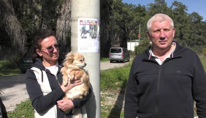 Rus sahipleri, kaybolan köpeklerini sokak sokak arıyor: Canlı bulana 100 bin, ölü bulana 10 bin ödül