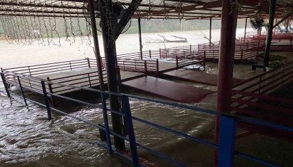 Sağanak sebebiyle Köprüçay taştı, iş yerleri ve araziler sular altında kaldı