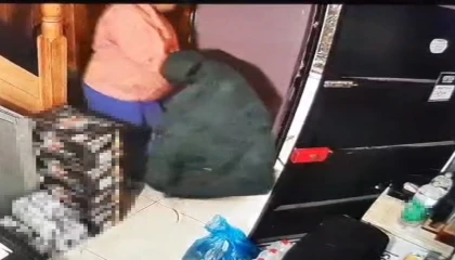 Sahibiyle samimiyet kurduğu iş yerinden önce çöpleri, sonra 250 karton sigarayı çıkarttı