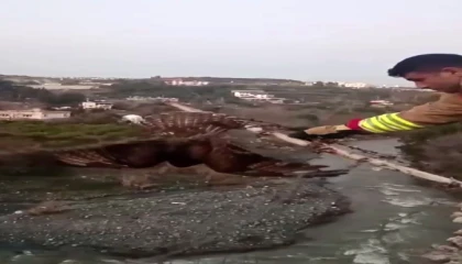 Şahini ölümden kurtarıp, özgürlüğe bıraktılar