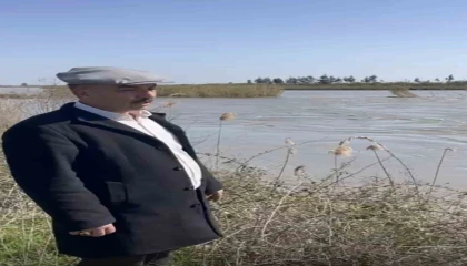 Seyhan Nehri taştı, Tarsusta bazı tarım arazileri sular altında kaldı