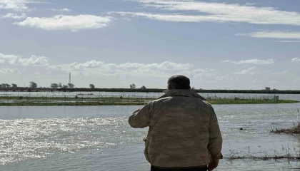 Seyhan Nehri taştı, Tarsusta tarım arazileri sular altında kaldı