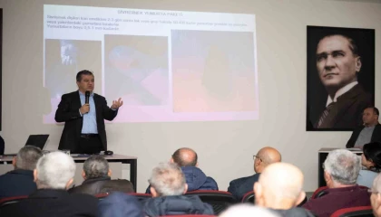 Silifkede haşereyle mücadele için iş birliği çağrısı