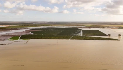 Tarsus Belediyesi sel ve fırtına sonrası zarar tespiti için sahada