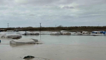 Tarsusta 8 bin dönüm tarım arazisi sular altında kaldı