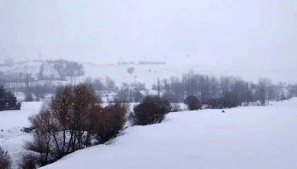 Tufanbeylide kar yağışı etkili oldu