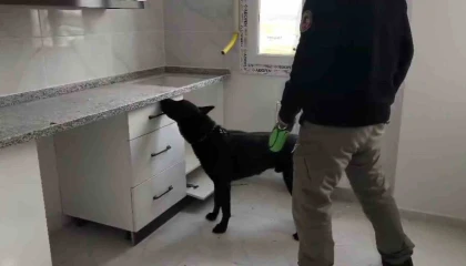 72 bin extacy yakalatıp bizim değil savunması yaptılar