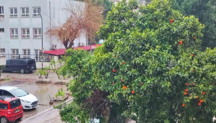 Adanada bayramda yağmur ve serin hava etkili olacak