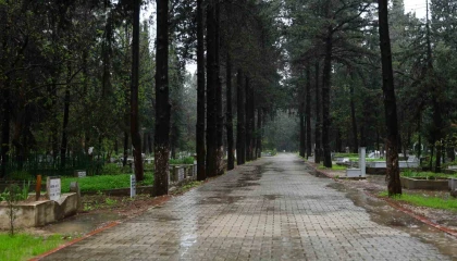 Adanada şiddetli yağış nedeniyle arife günü mezarlıklar boş kaldı