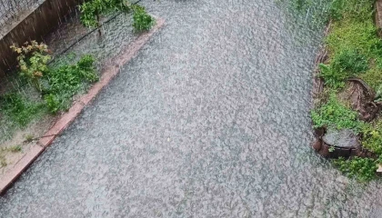 Adanada yağmur sele neden oldu